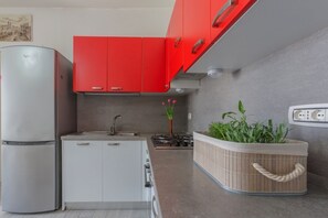 Fridge, oven, stovetop, dishwasher