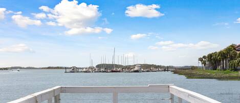 A marina with boats docked, a wooden pier, and a distant shoreline with buildings and trees.