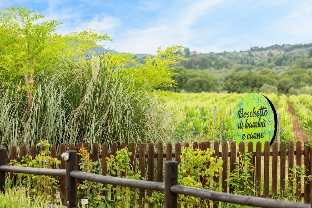 Parco della struttura
