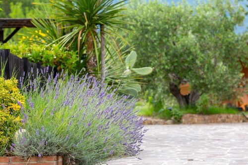 Art Beds & Garden sleeps 9 between the sea, the spa and the Tuscan countryside