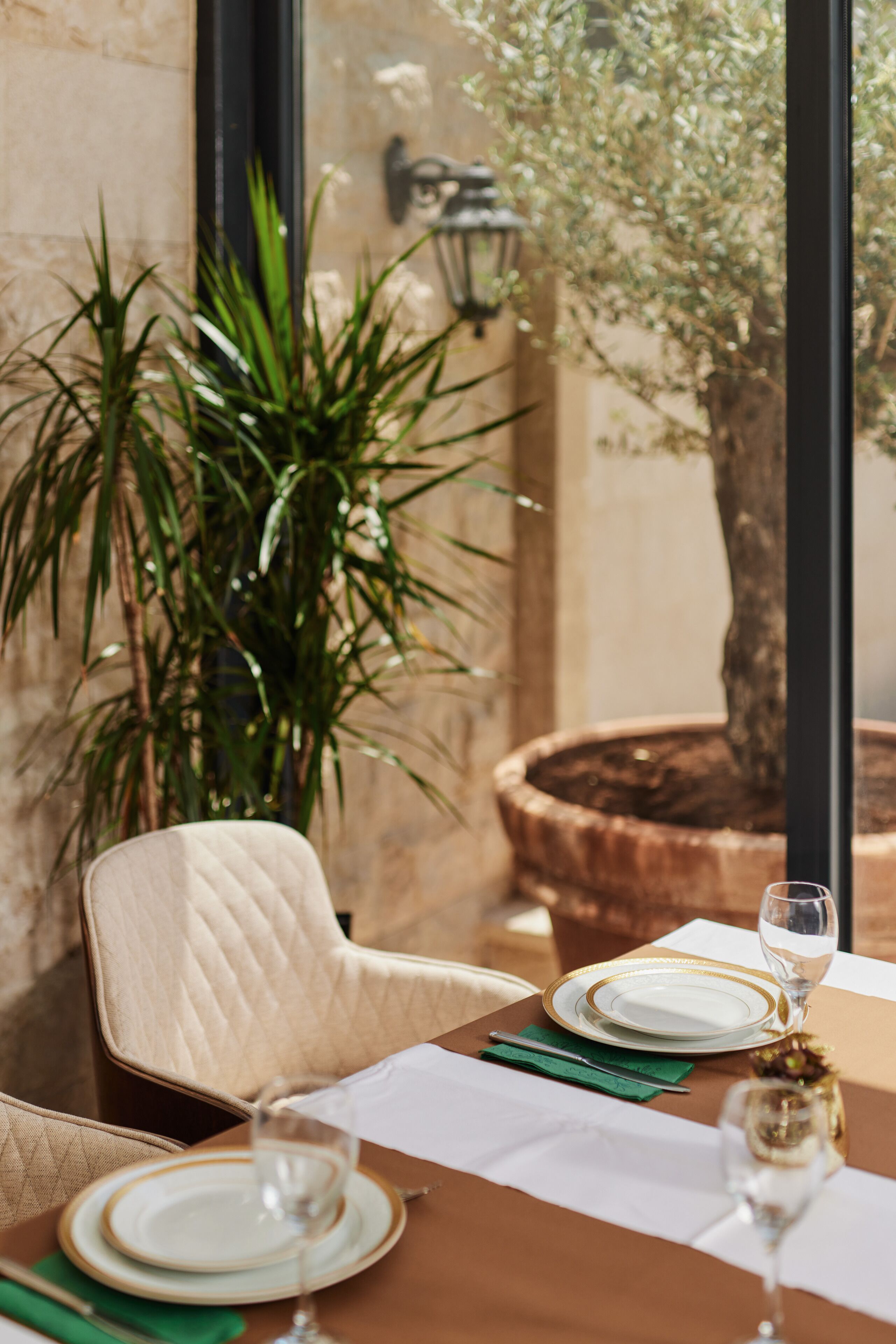 Una mesa de comedor dispuesta con platos, cubiertos y vasos, una silla y una planta en maceta.
