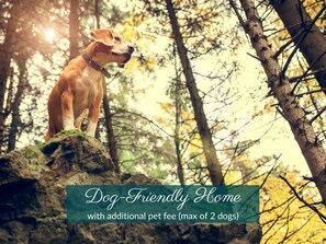 Pet-friendly