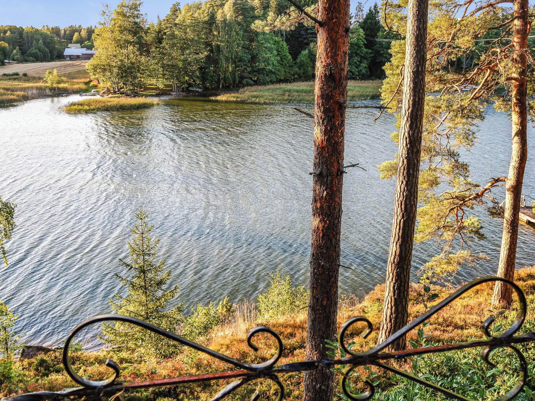 A river with trees and a metal fence in the foreground.