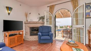 TV, fireplace, video games, table tennis