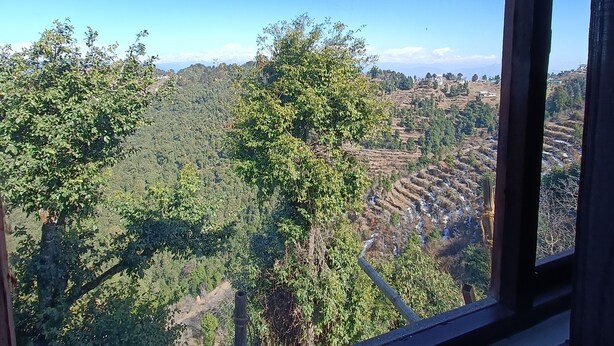 Blick aus einem Fenster auf eine bewaldete Landschaft mit terrassenförmig angelegten Feldern.
