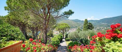 Áreas de la propiedad