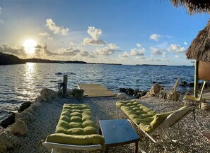Property grounds - Oceanfront Lookout Point with two Kayaks & Dock (Key Largo)