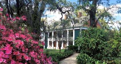 Beautiful Louisiana Vacation Home