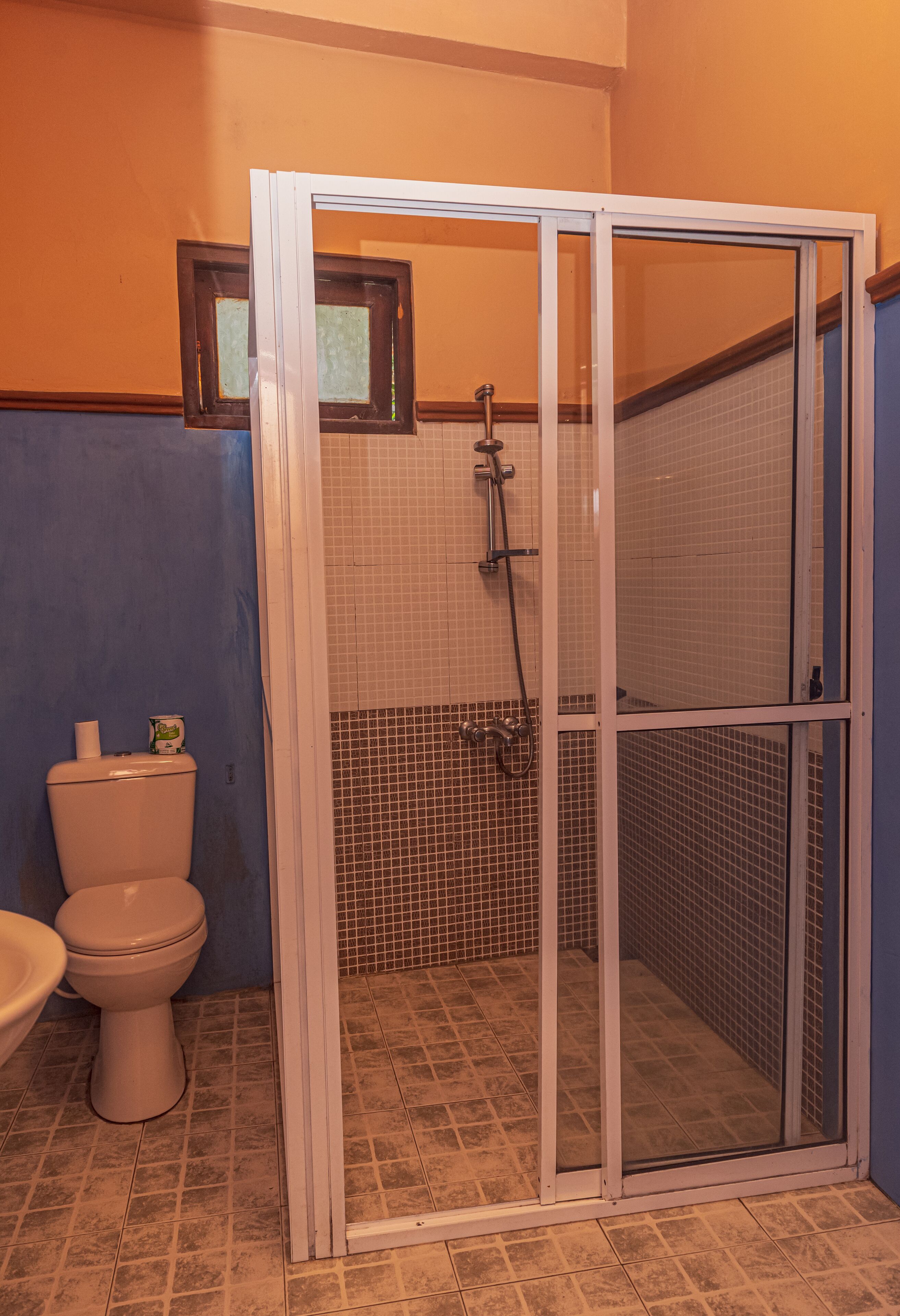 A bathroom with a shower enclosure, a toilet, and a window.