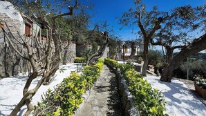 Un estrecho sendero de piedra bordeado de olivos y arbustos que conduce a un edificio de piedra con una ventana.