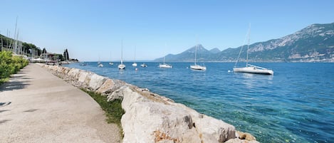 ビーチの近く