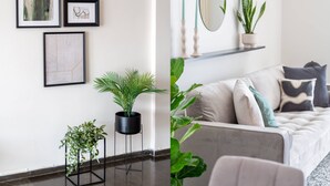 Un salon moderne avec un canapé gris, des coussins décoratifs et une table basse. Des œuvres d’art encadrées ornent le mur, et des plantes en pot y sont disposées.