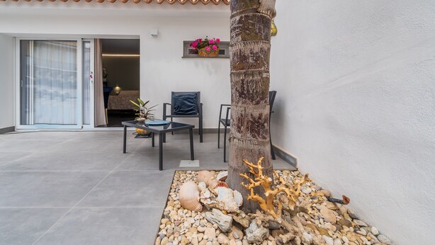 Un patio con una palmera, asientos y un adorno de coral.