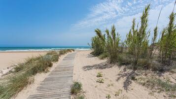 Playa en los alrededores