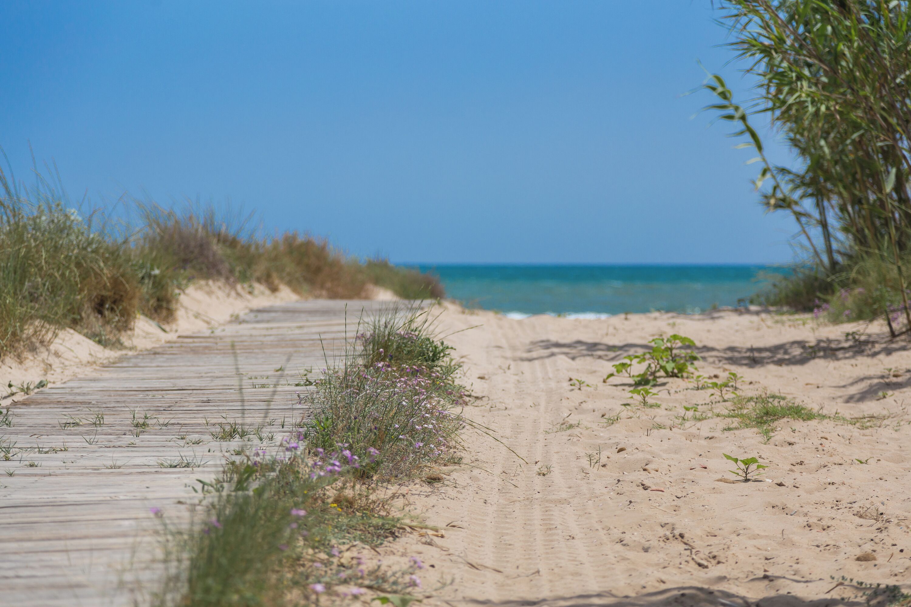 Playa en los alrededores 