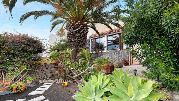 Un jardín con una palmera, piedras para pisar y diversas plantas.