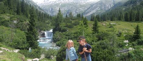 A mountainous landscape with a waterfall, dense forest, and rocky terrain.