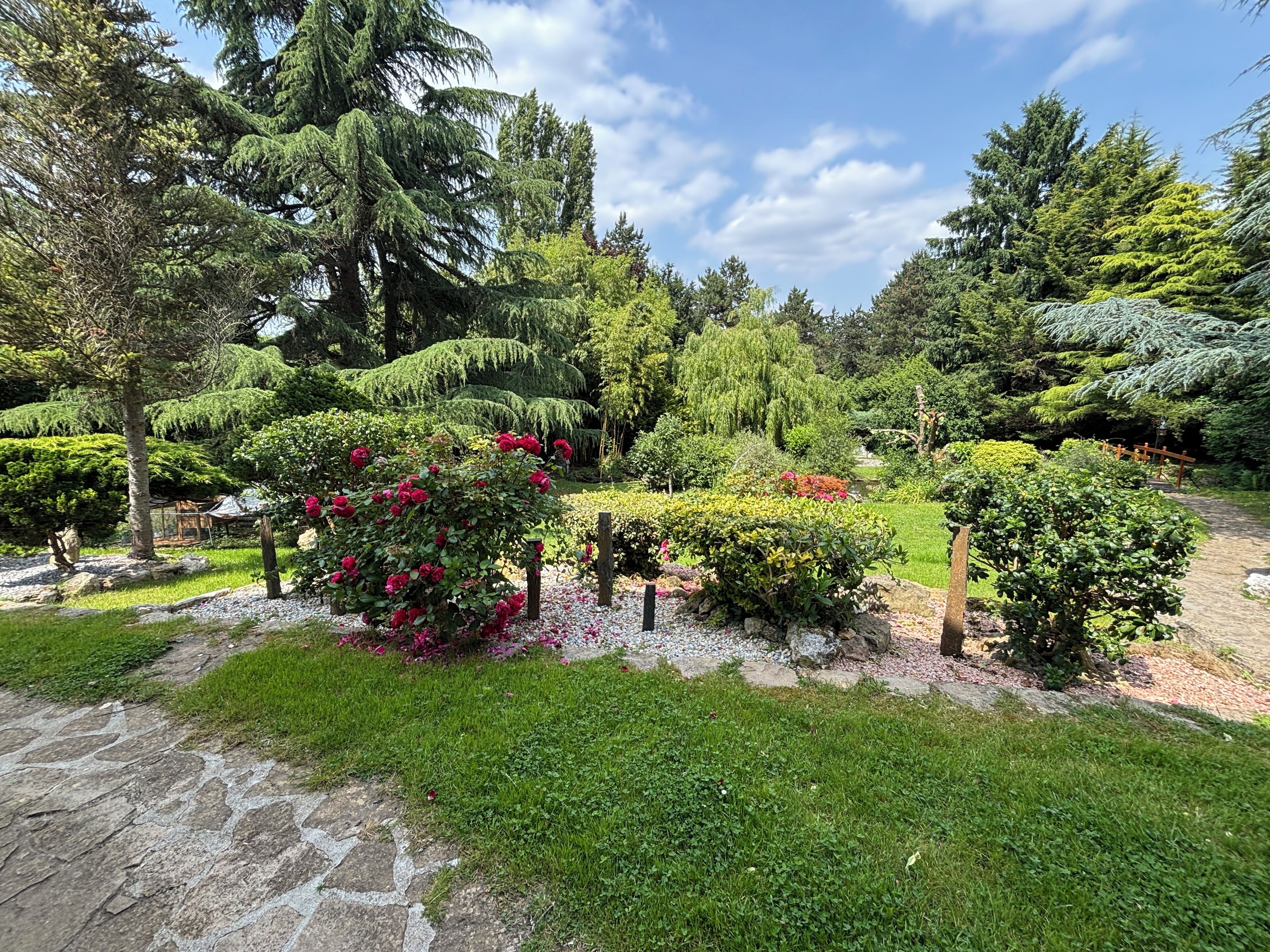 A well-maintained garden with various types of trees and shrubs, a stone pathway, and a wooden fence.