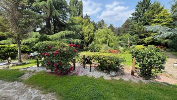 A well-maintained garden with various types of trees and shrubs, a stone pathway, and a wooden fence.