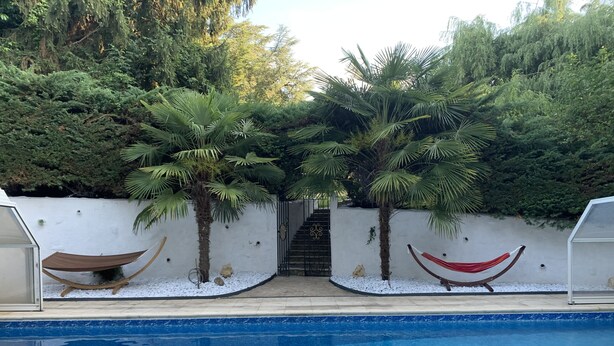 Una piscina con due palme e un'amaca.