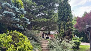 Una scala in pietra conduce a un edificio immerso nel verde e alberi.