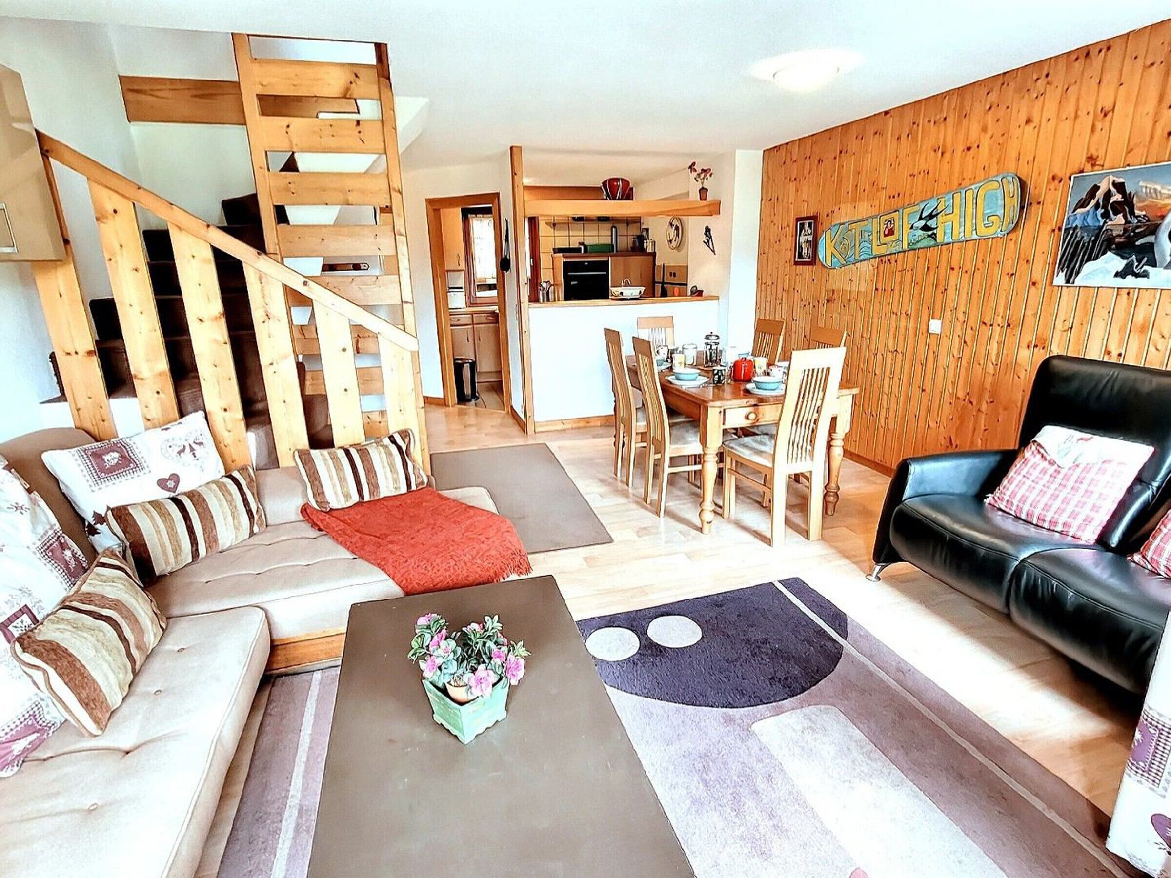 电视、DVD 播放器