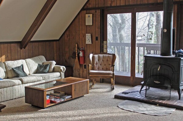 Smart TV, fireplace, DVD player