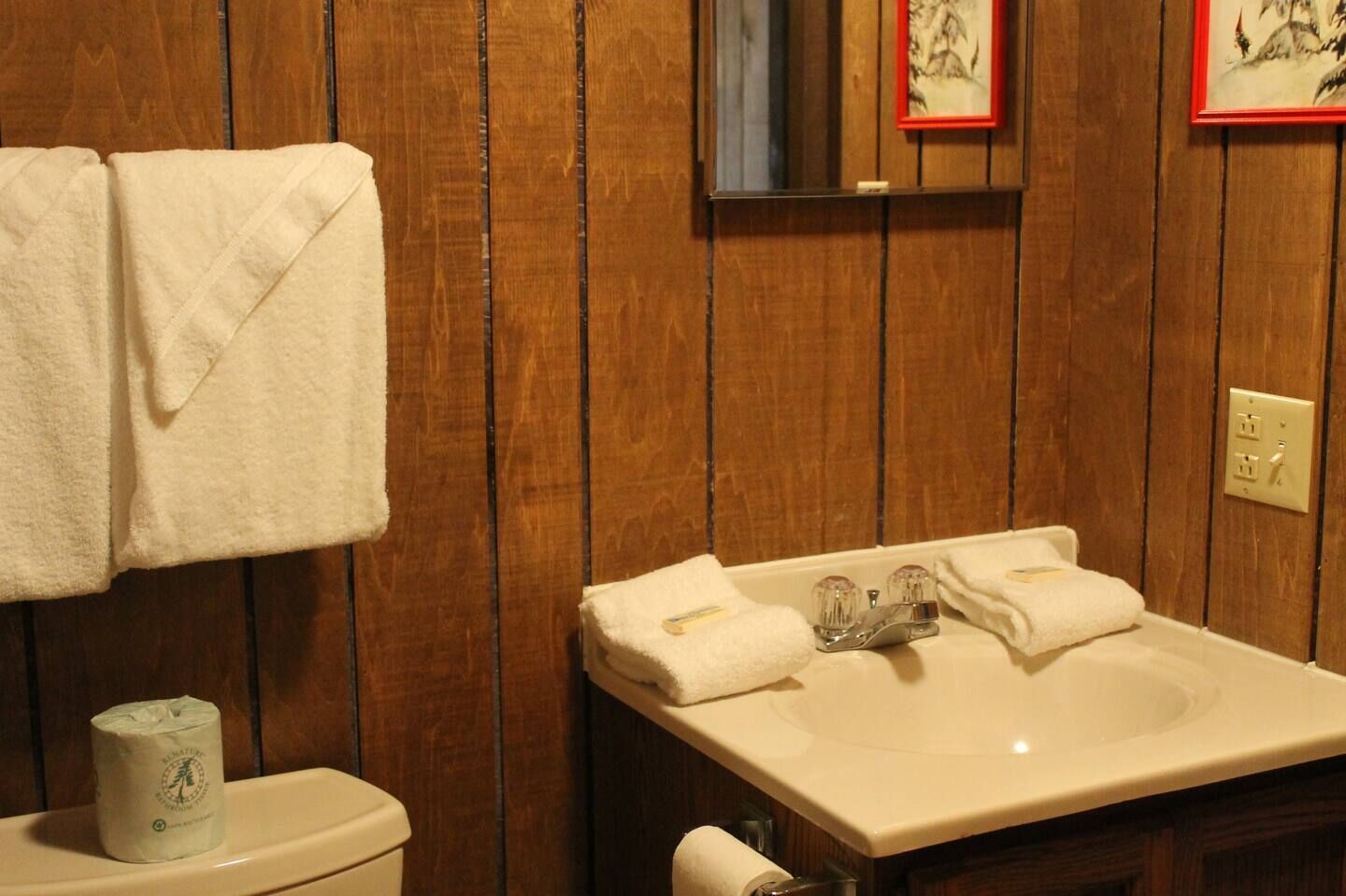 Hair dryer, towels