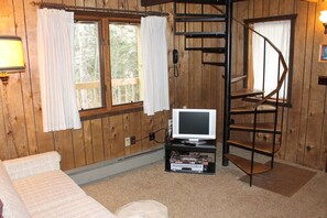 TV connectée, cheminée, lecteur de DVD