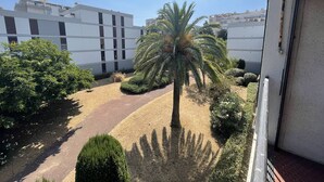 Ein Innenhof mit einer Palme, einem Weg und modernen Gebäuden im Hintergrund.