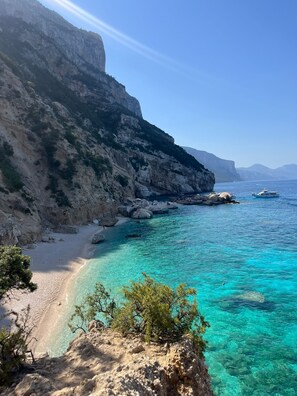 Lettini da mare