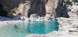 Lettini da mare
