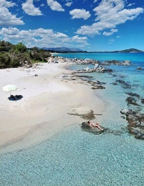 Lettini da mare