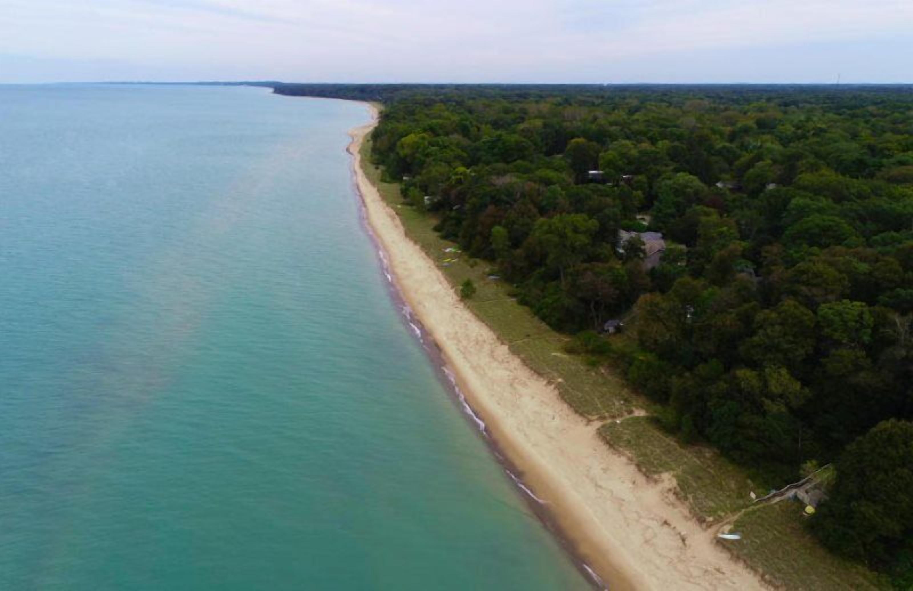 Vista aérea de una playa con un denso bosque a un lado y un mar azul y transparente al otro.