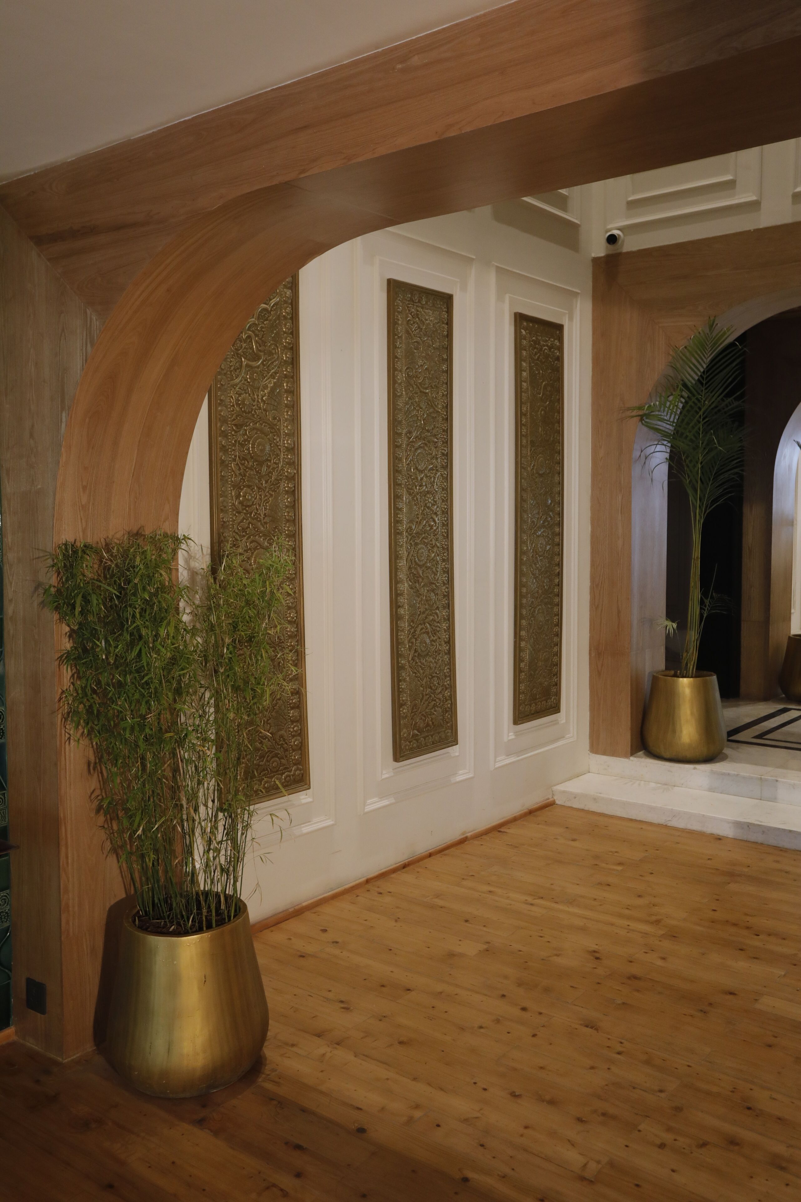 A hallway with wooden flooring, a large potted plant, and decorative wall panels.