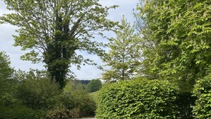A paved driveway curving through a residential area with dense greenery and trees. - Ferienwohnung auf dem Bauernhof, Idyllisch am Stadtrand von Kaufbeuren (Kaufbeuren)