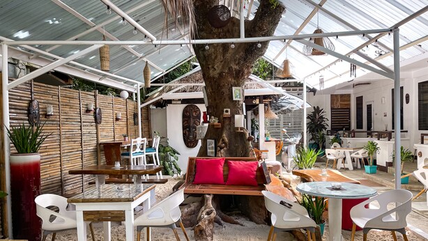 Un espace intérieur agrémenté d’un tronc d’arbre servant d’élément central, de meubles blancs et de divers objets décoratifs.