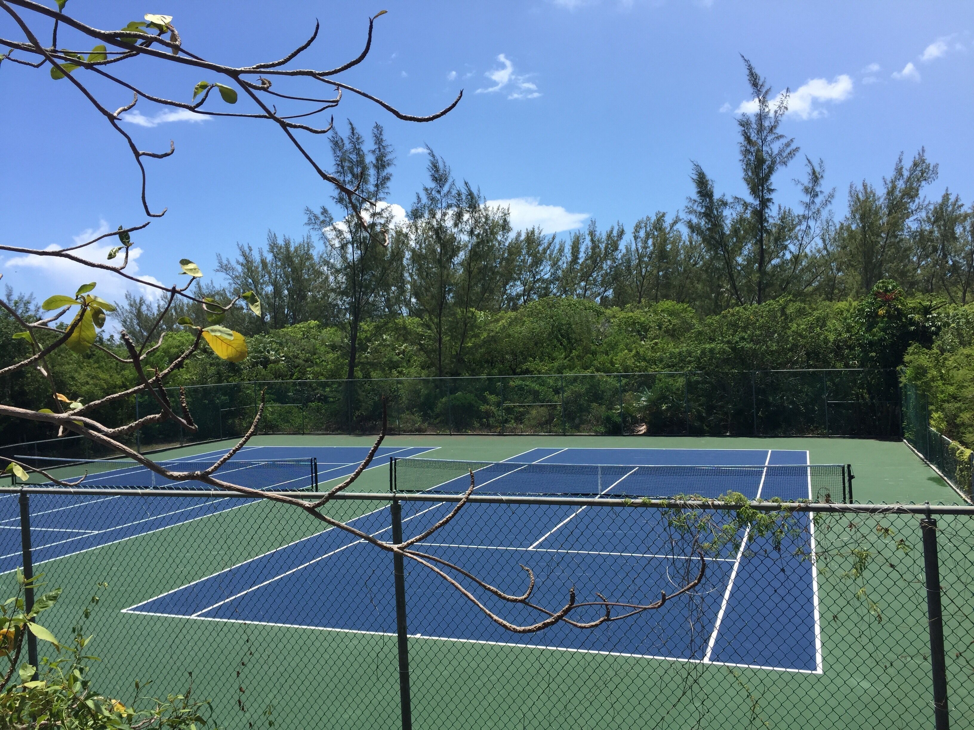 A tennis court surrounded by trees.