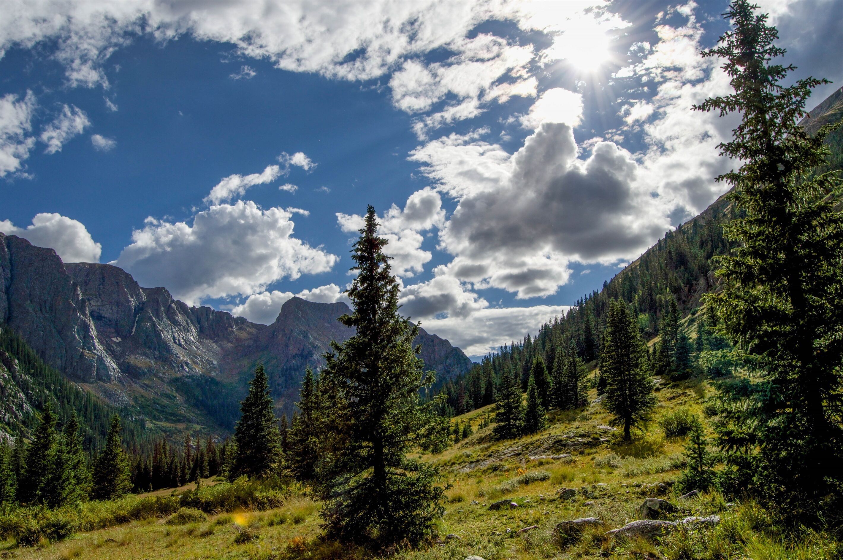 A mountainous landscape with dense forests, rocky cliffs, and a clear sky.