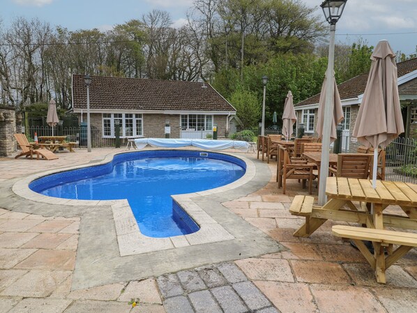 Pool - Badger Sett in Granite Henge Near Looe (Looe)