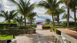 A pathway lined with palm trees and manicured hedges leading to a beach. - Luxury 5* 3 bdr Oceanfront condo between both Eagle & Palm Beach! (Oranjestad)