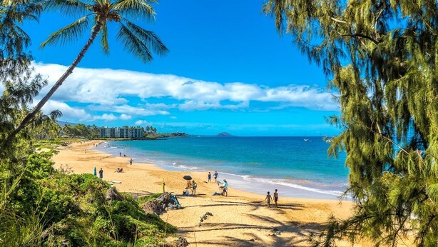 Una playa con palmeras, agua azul cristalina y una vista distante de edificios.