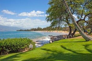 A coastal landscape with a beach, a sign warning of danger, and a tree. - Kihei Ali'i Kai D201 1 Bedroom Condo (Kihei)