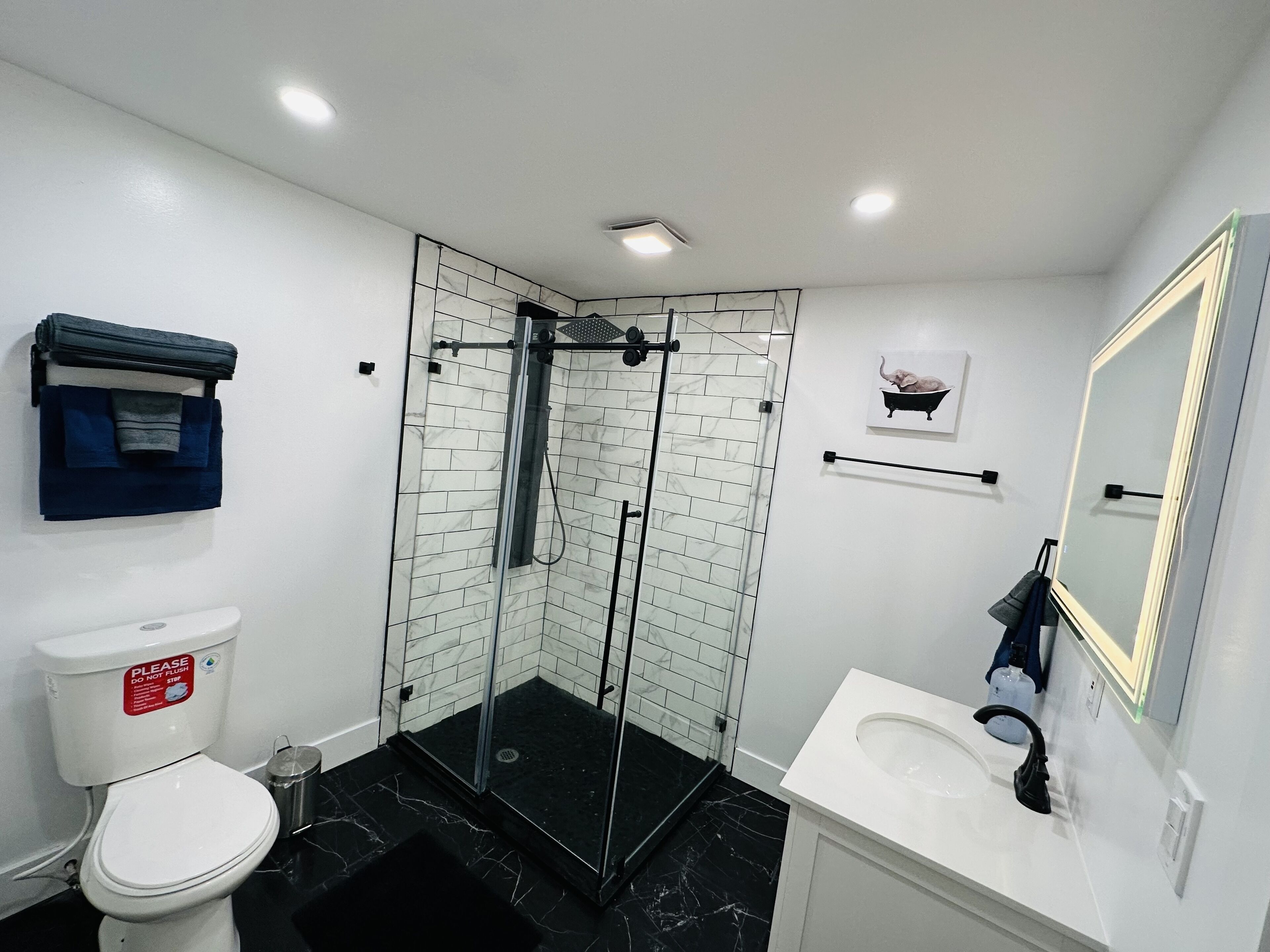 A modern bathroom with a glass-enclosed shower, a white toilet, and a sink with a mirror.