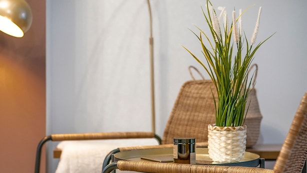 Una silla de mimbre con asiento y respaldo trenzados, una pequeña mesa redonda con base trenzada y una planta en maceta con hojas verdes largas y flores blancas.