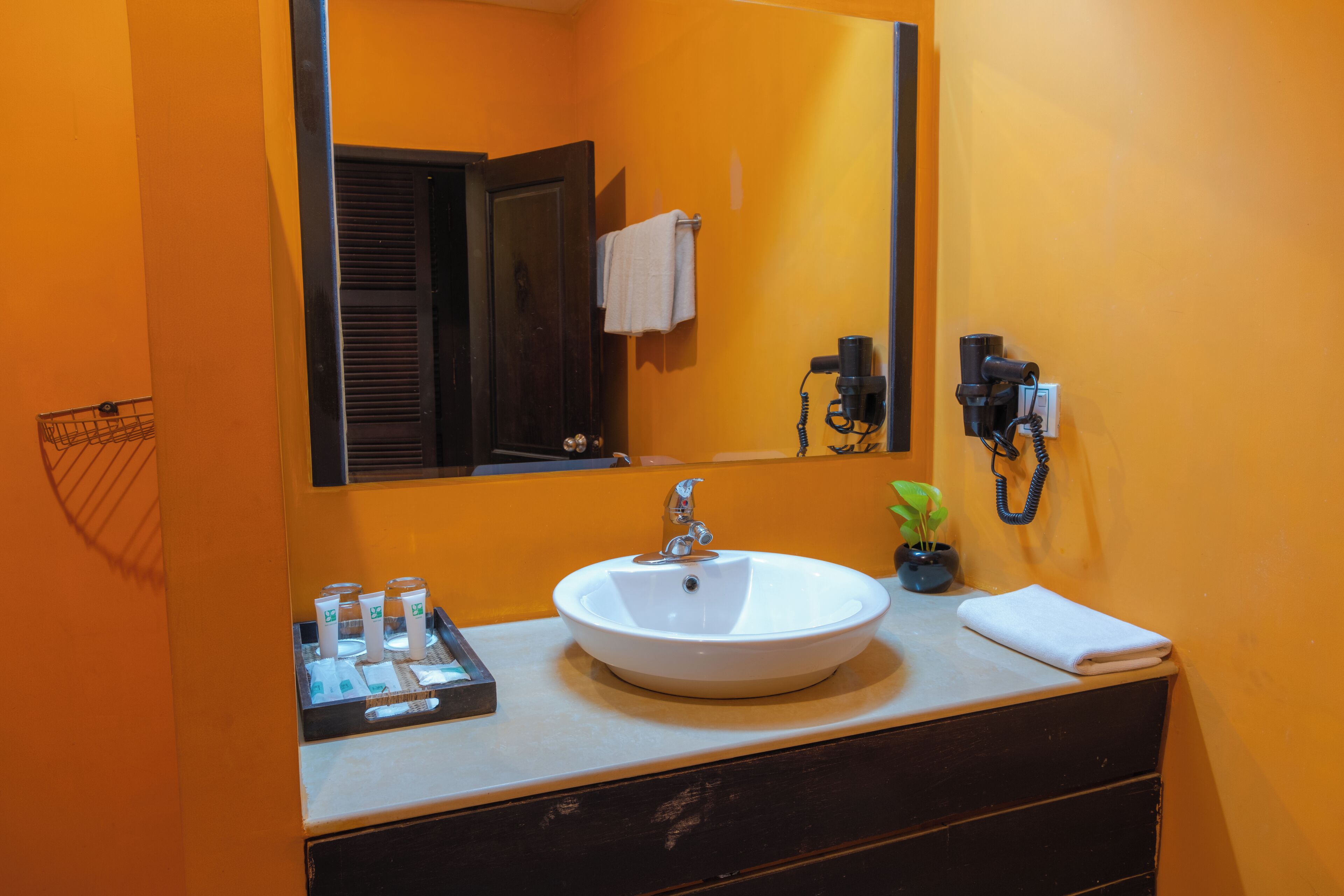 Un bagno con un lavandino bianco, uno specchio, un portasciugamani e una piccola pianta in vaso.