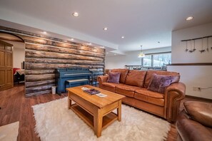 TV connectée, cheminée, jeux vidéo, livres