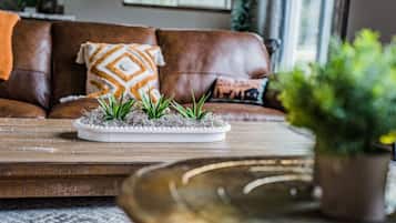 Televisio, takka, videopelejä, kirjoja