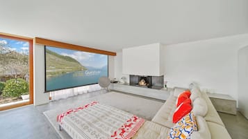 Televisie, een open haard, een dvd-speler en boeken