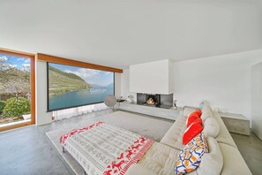 Televisión, chimenea, reproductor de DVD y libros 